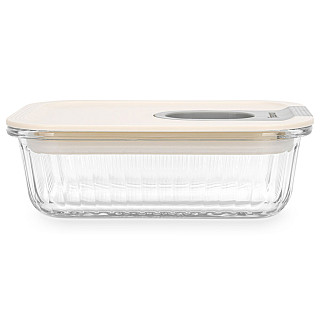 Container with plastic lid 17.8x13.2x6.3 cm / 640 ML (borosilicate glass)