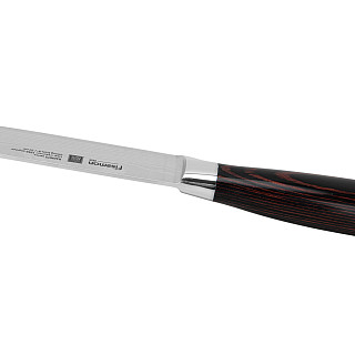 Gastronomic knife 20 cm RAGNITZ