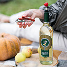 Vyno priedų rinkinys 2 vnt (nerūdijantis plienas + cinko lydinys)