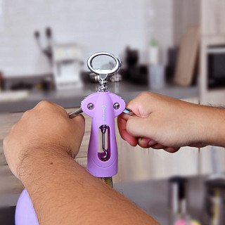 Corkscrew 17 cm (stainless steel) (12 pcs per display box)