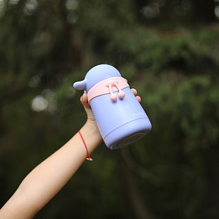 Double wall vacuum bottle 300 ml (stainless steel), art. 9768