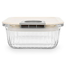 Container with plastic lid 17.8x13.2x6.3 cm / 640 ML (borosilicate glass)