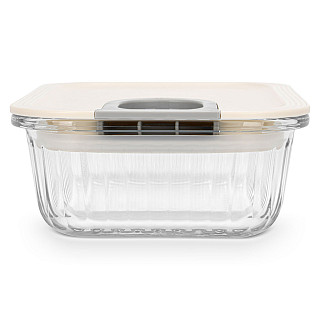 Container with plastic lid 17.8x13.2x6.3 cm / 640 ML (borosilicate glass)