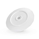 Plate CURRANT 26 cm (new bone china)