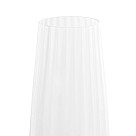 Šampanieša glāzes 2 gab / 230 ml