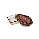 Container with PP lid 17x12x5 cm / 640 ML (borosilicate glass)