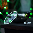 Sugar bowl with glass lid and spoon 560 ml (stainless steel)