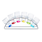 Stiklinių stiklinių rinkinys 60ml / 6vnt (stiklas)