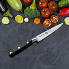 3.7" Paring knife KITAKAMI (X50CrMoV15 steel)