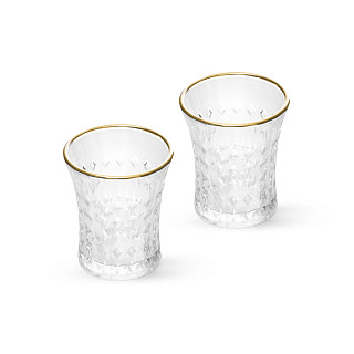 Set of 2 shot glasses 55 ml (glass)