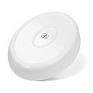 Serving dish 36.2x23.2х7.3 cm with metal stand (porcelain)
