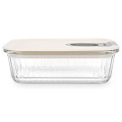 Container with plastic lid 20.4x15.3x7.3 cm / 1050 ML (borosilicate glass)