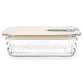 Container with plastic lid 20.4x15.3x7.3 cm / 1050 ML (borosilicate glass)