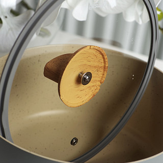 Stockpot 20 cm / 2.24 l Aria