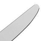 Stalo peilis ANNECY 23 cm (nerūd. plienas)