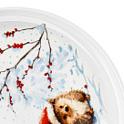 Šķīvis HEDGEHOG 20 cm (porcelāns)