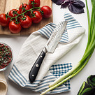 Santoku nazis HATTORI 13 cm (nerūsējošais tērauds)