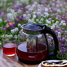Tea pot 2000 ml with filter (glass)