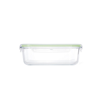 Container with lid 23x18x8 cm / 1500 ml (borosilicate glass)