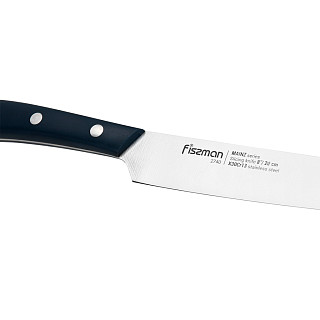 Gastronomy knife MAINZ 20 cm