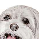 Porcelāna apakštase 10 cm Dogs