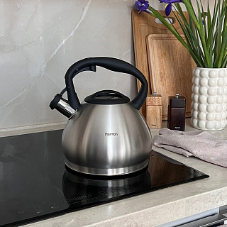 ANIKA Whistling kettle 3.4 LTR (stainless steel)