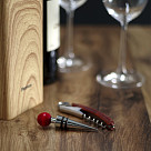 Wine accessories set 2 pcs. (stainless steel+ zinc alloy)