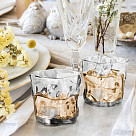 Whiskey glasses 260 ml / 2 pcs