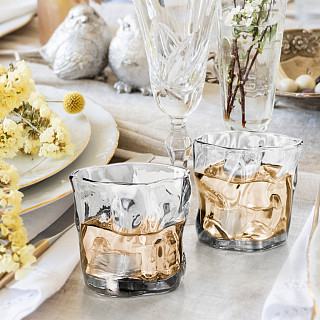 Whiskey glasses 260 ml / 2 pcs