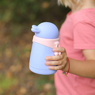 Double wall vacuum bottle 300 ml (stainless steel), art. 9768