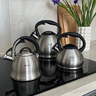 ANIKA Whistling kettle 3.4 LTR (stainless steel)