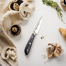 Dārzeņu nazis HATTORI 10 cm (nerūsējošais tērauds)