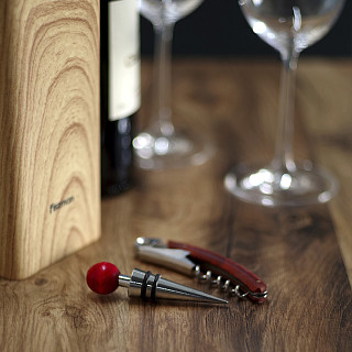 Wine accessories set 2 pcs. (stainless steel+ zinc alloy)