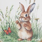 Karstumizturīgs paliktnis 20 cm (dolomīts), art. 0163