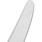 Stalo peilis CLASSIC 24,5 cm (nerūdijantis plienas)