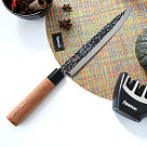 Gastronominis peilis KENSEI ITTOSAI  20cm (plienas)