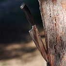 8" Chef`s knife ELEGANCE (X50CrMoV15 steel)