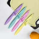 4" Paring knife CARAMELLA 10 cm with sheath (stainless steel) (72 pcs in displaybox)