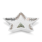 Indų žvaigždė 19 cm Christmas