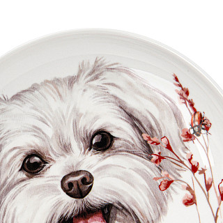 Porcelain plate 14.5 cm Dog