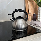 ANIKA Whistling kettle 1.2 LTR (stainless steel)